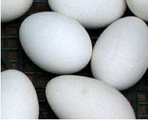 鹅蛋的功效.5 鹅蛋补中益气 鹅蛋的食用禁忌
