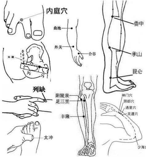 天星12穴 穴位 准确位置图