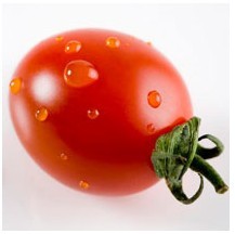 樱桃番茄的功效 樱桃番茄抗癌 樱桃番茄可降脂降压