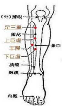 中脘穴位配伍穴足三里 巨虚穴 丰隆穴图