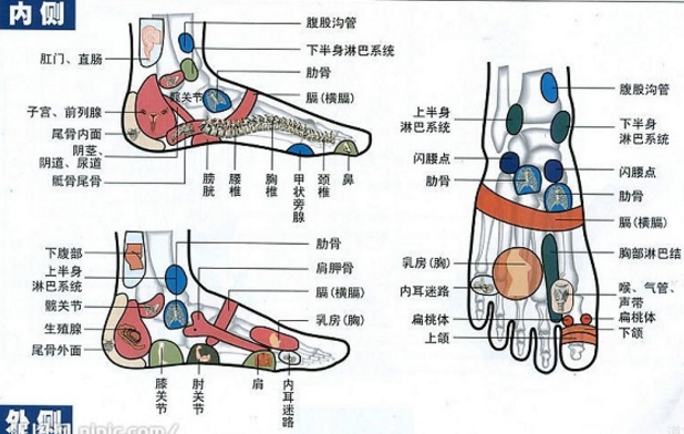 脚部其他：脚背部，脚内侧，脚外侧穴位准确位置图